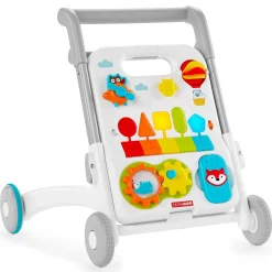 Skip Hop 4 in 1 Activity Walker