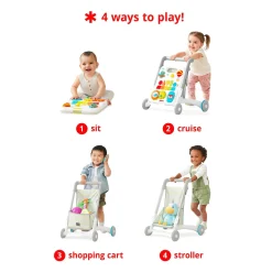 Skip Hop 4 in 1 Activity Walker