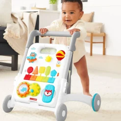 Skip Hop 4 in 1 Activity Walker
