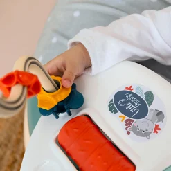 Smoby 3 in 1 Cosy Seat