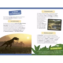 Auzou À La Découverte Des Dinosaures