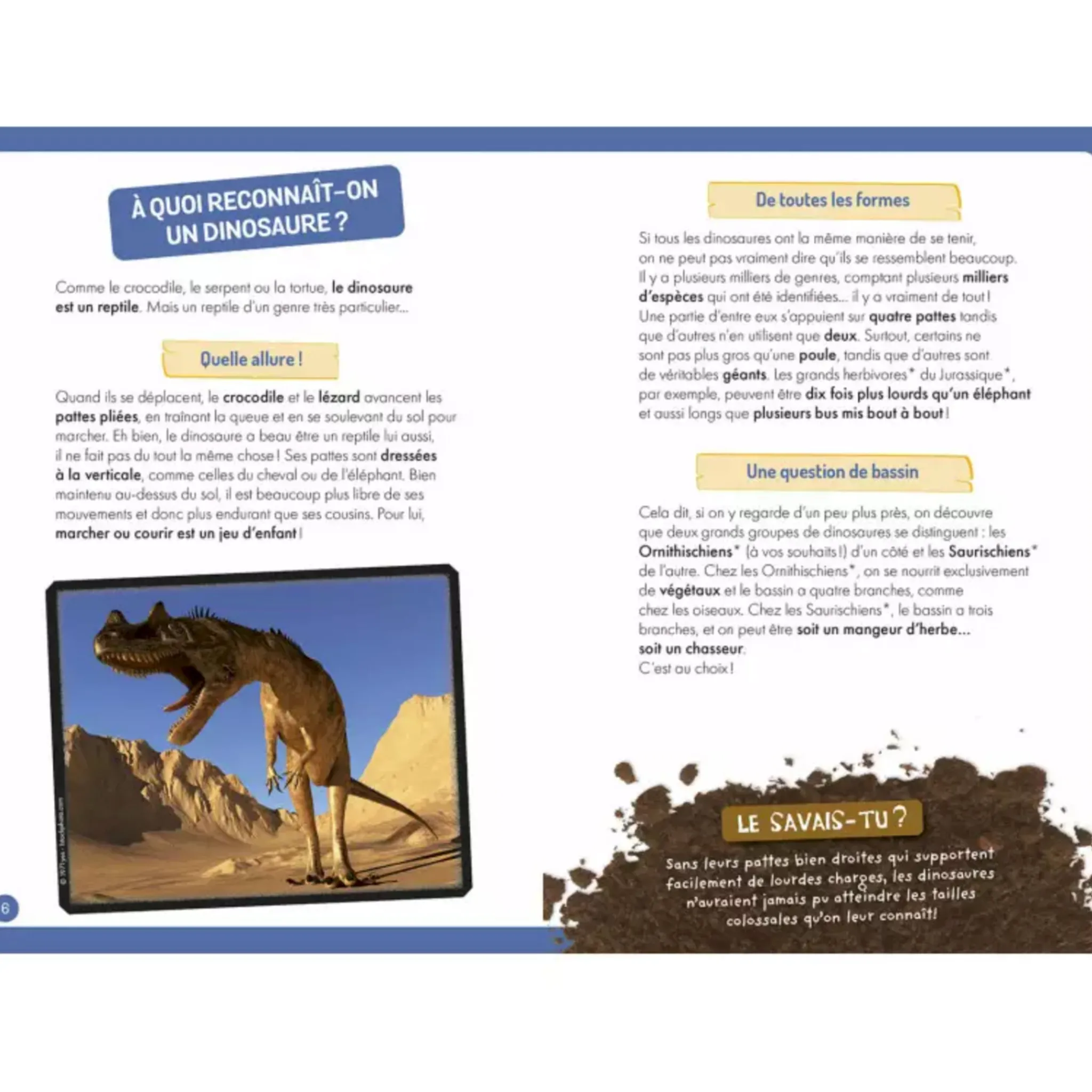Auzou À La Découverte Des Dinosaures