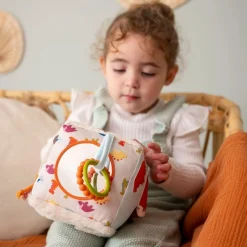Little Big Friends Activity Cube - Dino