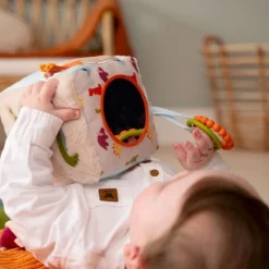 Little Big Friends Activity Cube - Dino