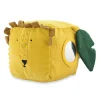 Trixie Activity Cube Mr Lion