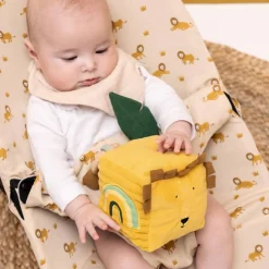 Trixie Activity Cube Mr Lion