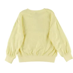 Kids Nano Aloha Sweatshirt 2-12