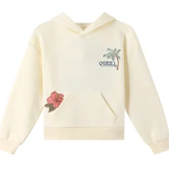 Kids O'Neill Fleeces And Sweatshirts|Tops>Asher Hoodie 7-16