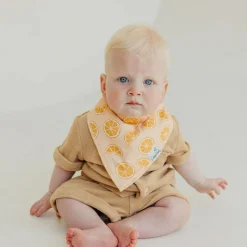 Copper Pearl Bibs|Breastfeeding>Baby Bandana Bibs (4) - Fruits