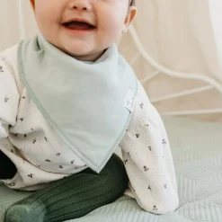 Copper Pearl Baby Bandana Bibs (4) - Dinosaurs Rex