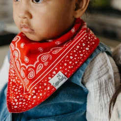 Copper Pearl Bibs|Breastfeeding>Bandana Bib (4)Western