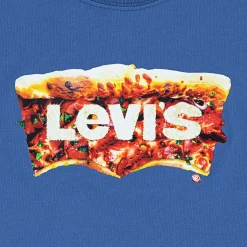 Kids/BOY Levis Batwing Slice T-shirt 8-16y