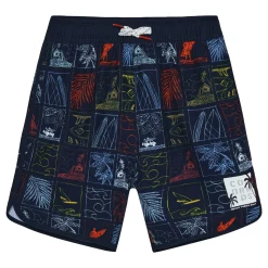 Kids/BOY Color Kids Beach Print Swim Shorts 2-12