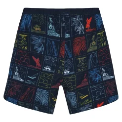 Kids/BOY Color Kids Beach Print Swim Shorts 2-12