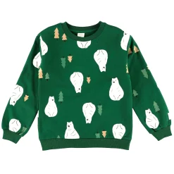 Kids/BOY Camp by Birdz Bear Sweatshirt 2-8