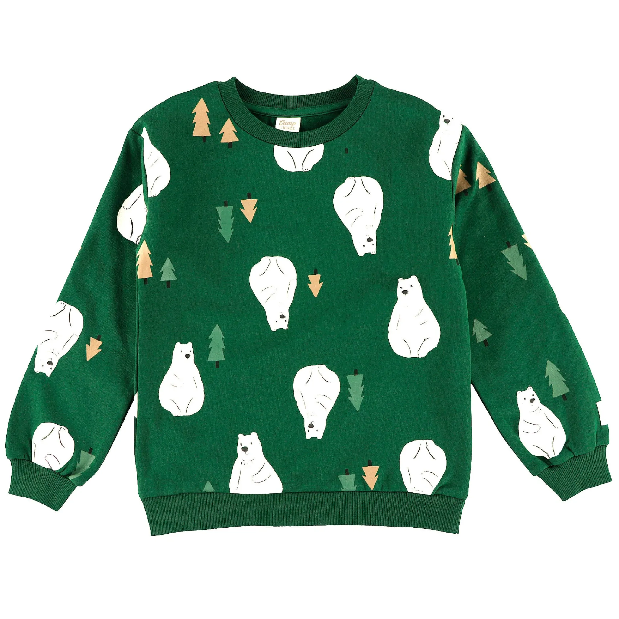 Kids/BOY Camp by Birdz Bear Sweatshirt 2-8
