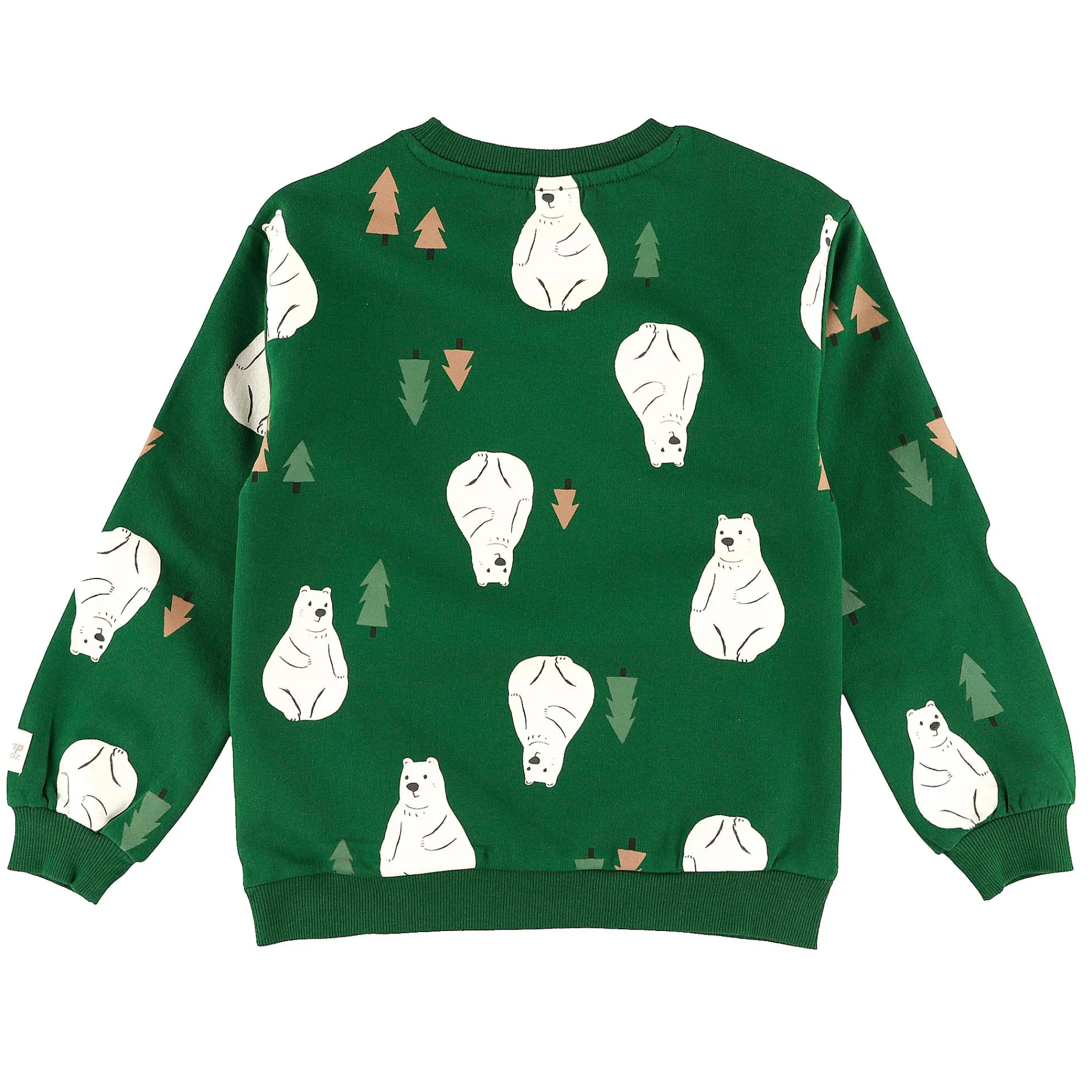 Kids/BOY Camp by Birdz Bear Sweatshirt 2-8