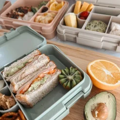 Kids Nouka Bento Lunch Box - Dino Ville