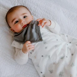 Perlimpinpin Bibs (3) Bamboo Honey / Foam / Gray