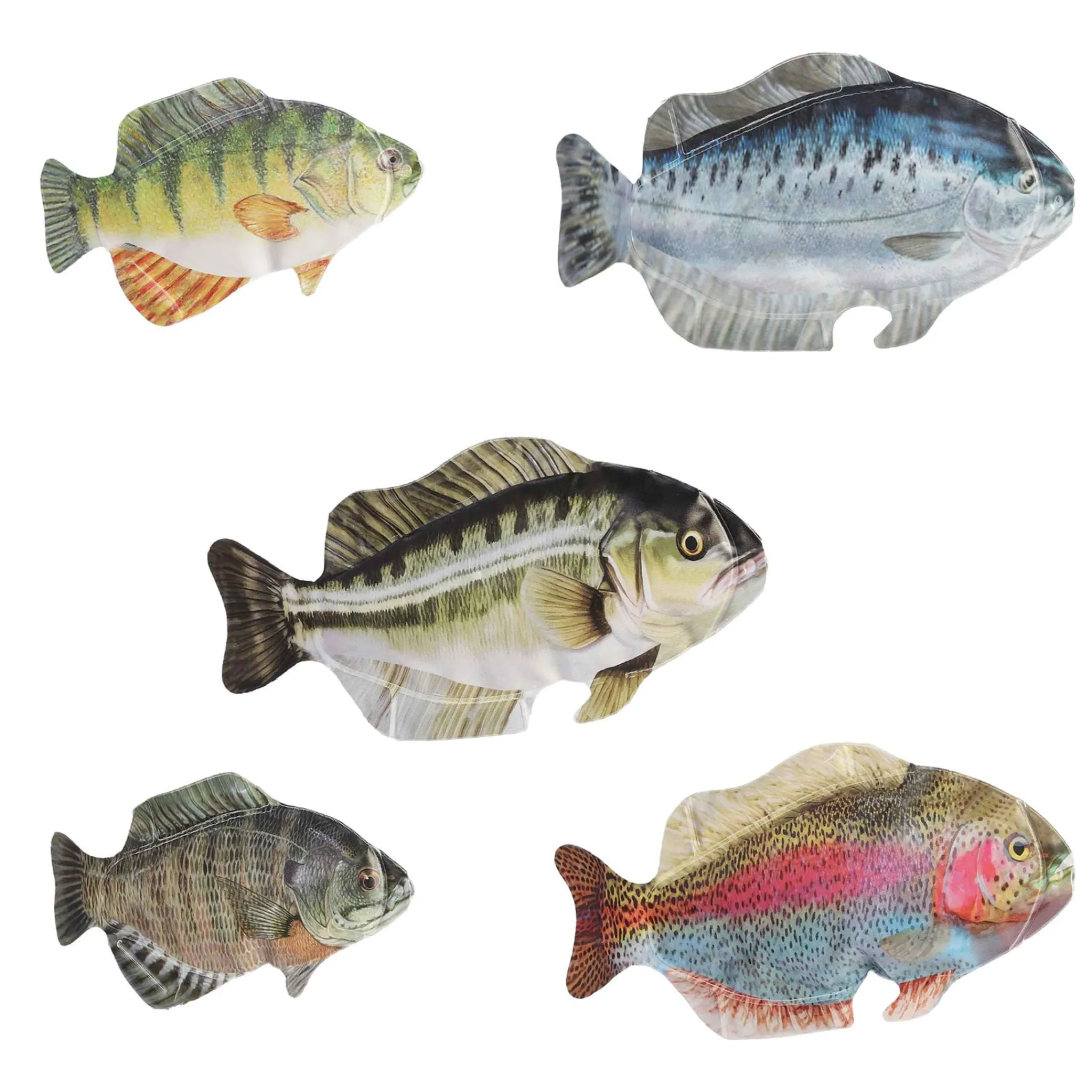 Kids Aurora Big Fish Game