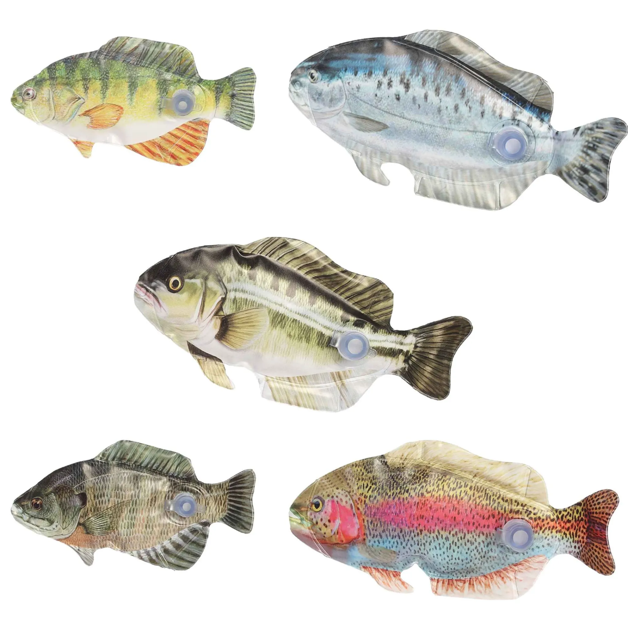 Kids Aurora Big Fish Game