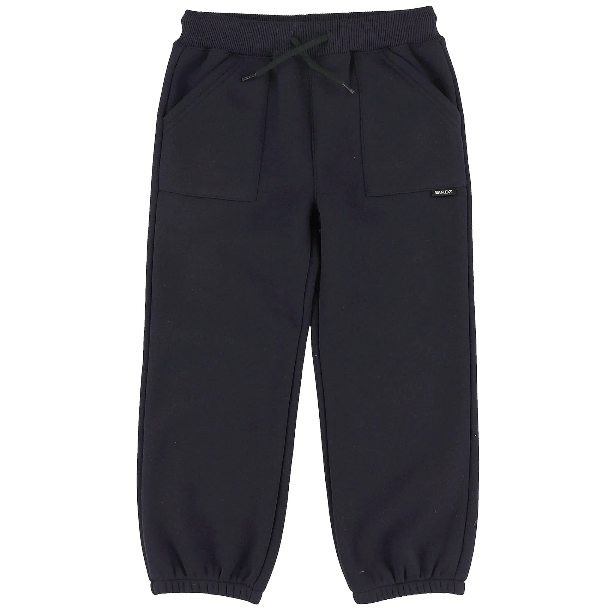 Kids/BOY Birdz Sweatpants 2-10