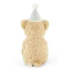 Snuggle Bunnies Birthday Arthur Bear Gingham