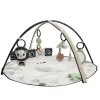 Tiny Love Black & White Décor Developmental Gymini