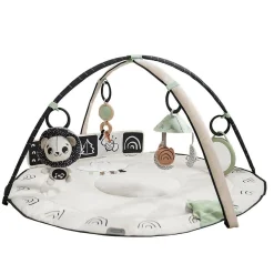 Tiny Love Black & White Décor Developmental Gymini