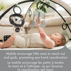 Tiny Love Black & White Décor Developmental Gymini