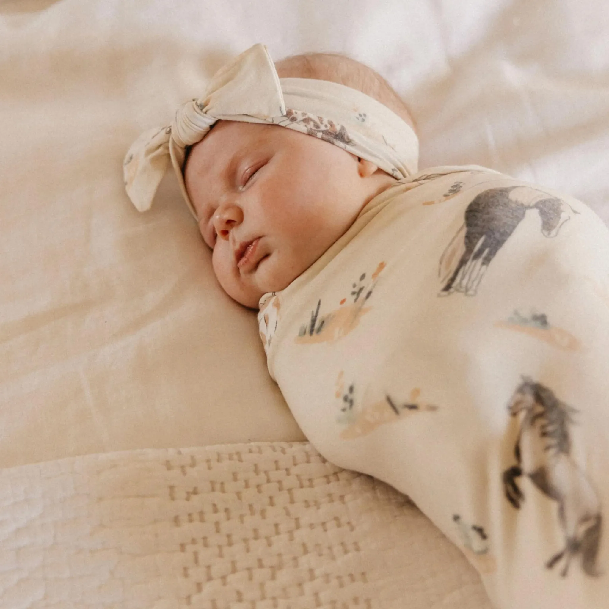 Kids Copper Pearl Blankets|Blankets>Blanket - Montana