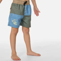 Kids/BOY Rip Curl Block Volley Swim Shorts 1-8
