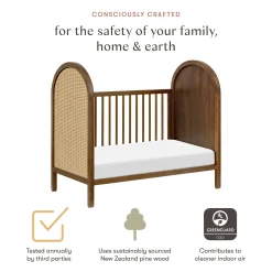 Babyletto Bondi Cane 3-in-1 Convertible Crib with Toddler Bed Kit- Honey Cane