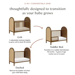 Babyletto Bondi Cane 3-in-1 Convertible Crib with Toddler Bed Kit- Honey Cane