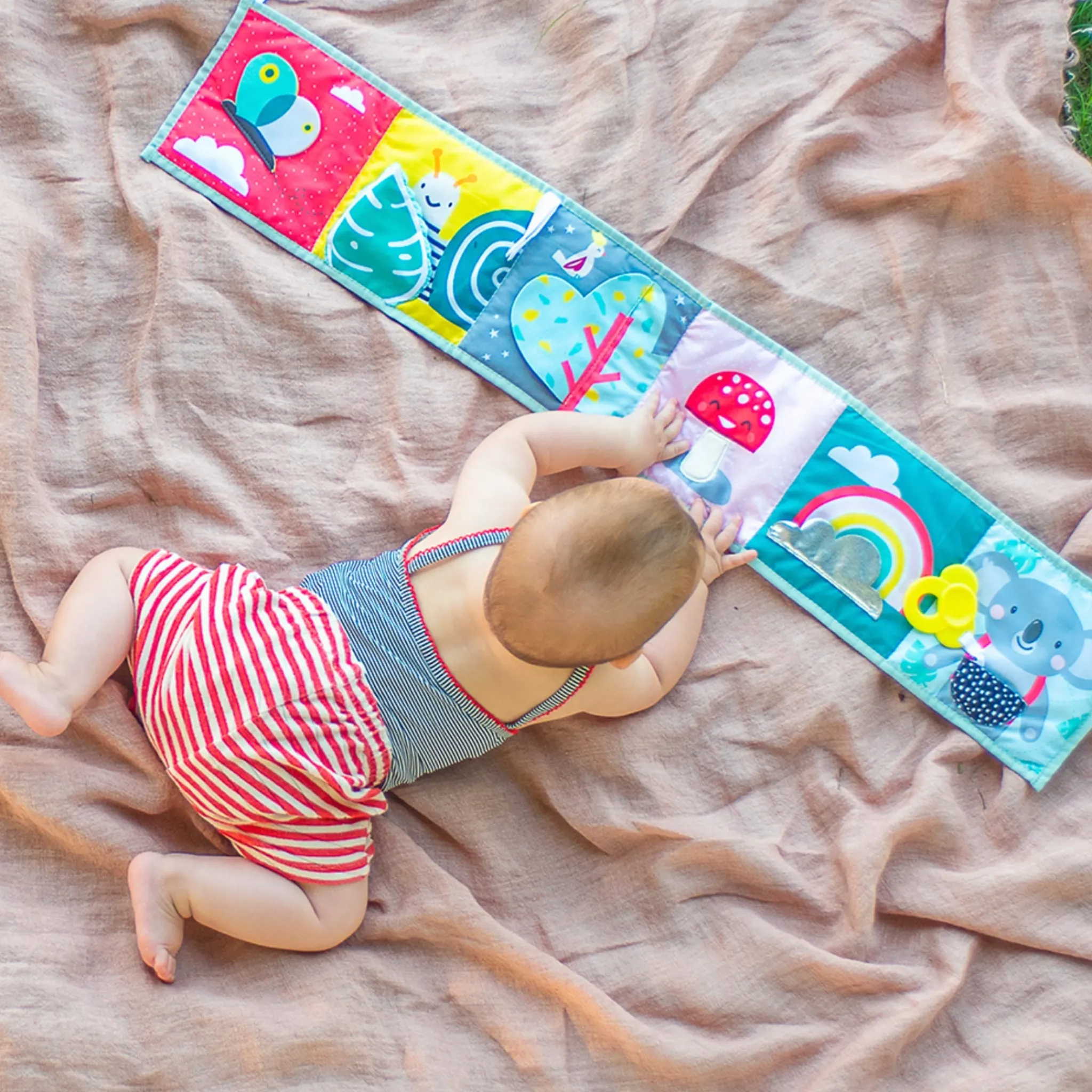 Taf Toy Book Koala Clip On Pram