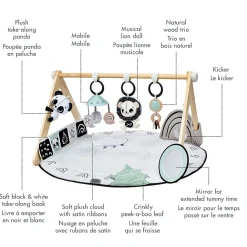 Tiny Love Developmental Toys|Play Mat>B&W Decor Gymini
