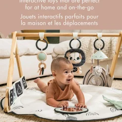 Tiny Love Developmental Toys|Play Mat><noscript><img width=