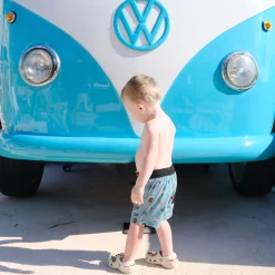 Kids/BOY Birdz Swimsuits><noscript><img width=