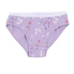 Kids Nano Underwear & Socks>Capybaras 3pk Undies 2-12
