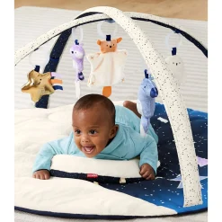 Skip Hop Celestial Dreams Activity Gym