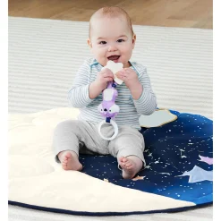 Skip Hop Celestial Dreams Activity Gym