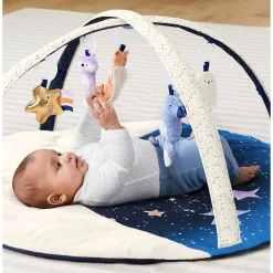 Skip Hop Celestial Dreams Activity Gym