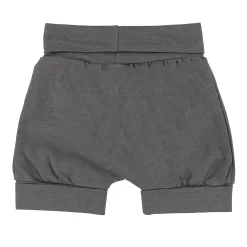 BOY Camp by Birdz Shorts & Bermuda|Shorts & Bermuda><noscript><img width=