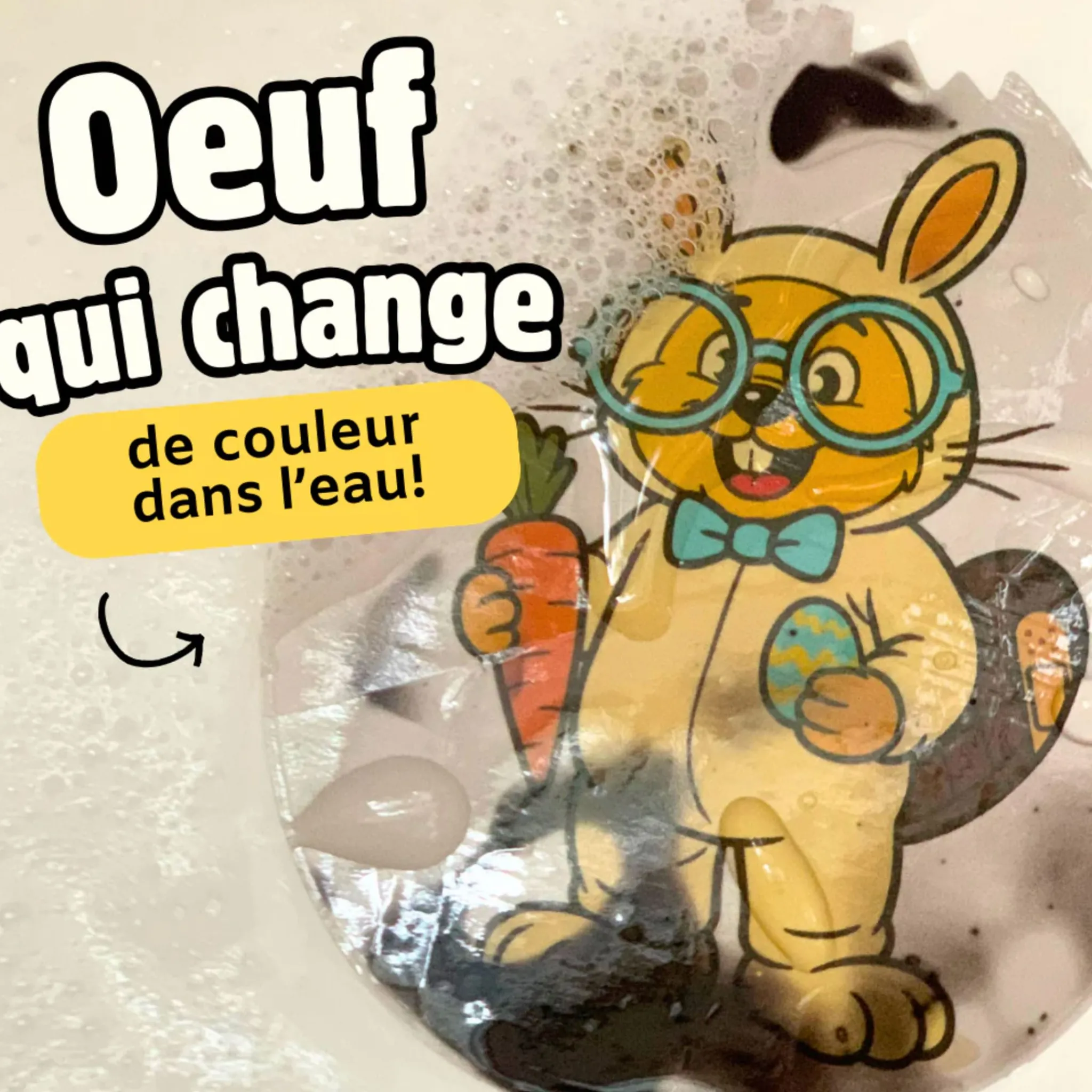 Charlo Jeux et Aventures Chasse Aux Cocos - La Folie de Pâques