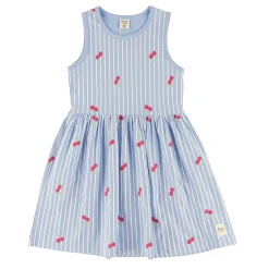 Kids Camp by Birdz Dresses & Rompers>Cherry Stripe Dress 2-8y