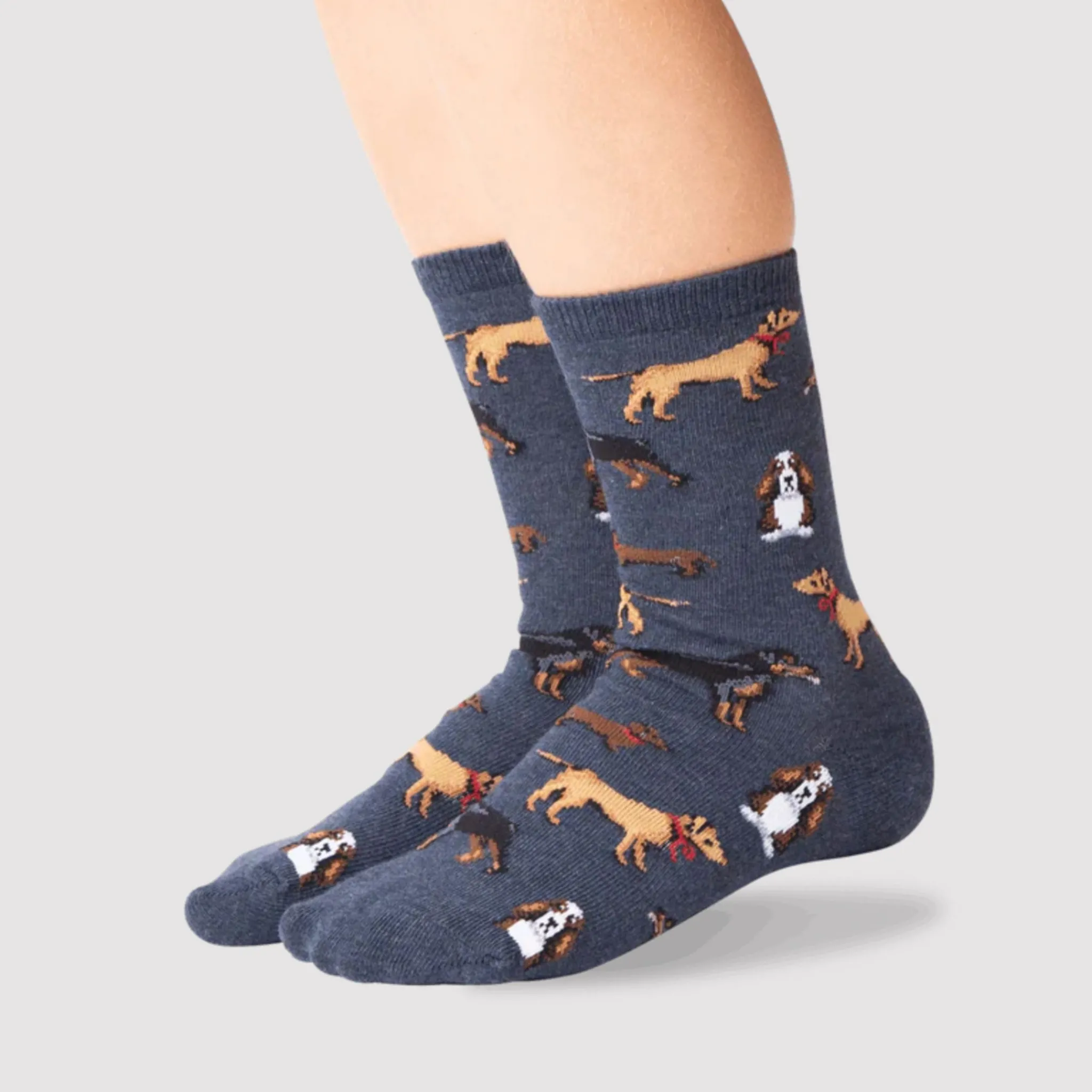 Kids/BOY Hotsox Classic Dogs Socks 4-9y