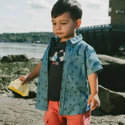 Kids/BOY Deux par Deux Shorts & Bermuda><noscript><img width=