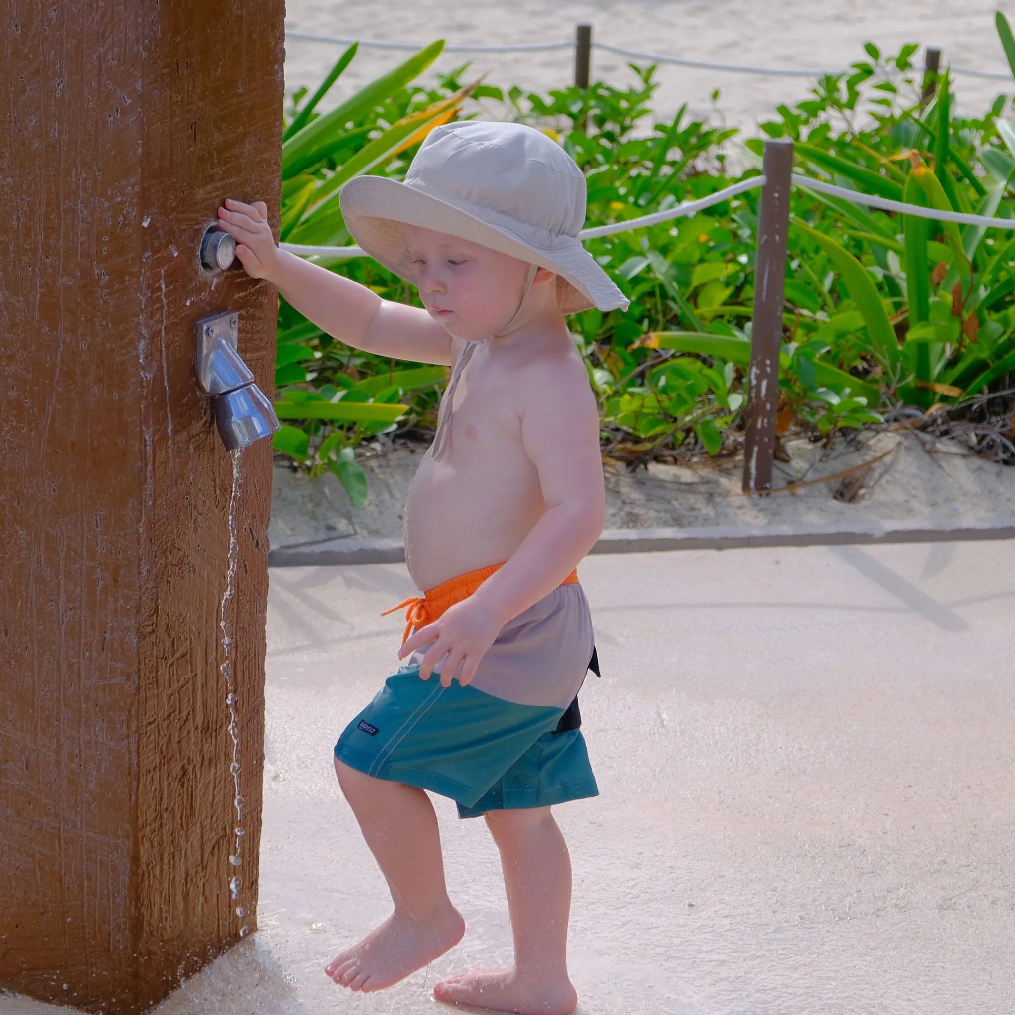 Kids/BOY Birdz Colorblock Uv Swim Shorts 2-10