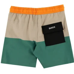 Kids/BOY Birdz Colorblock Uv Swim Shorts 2-10