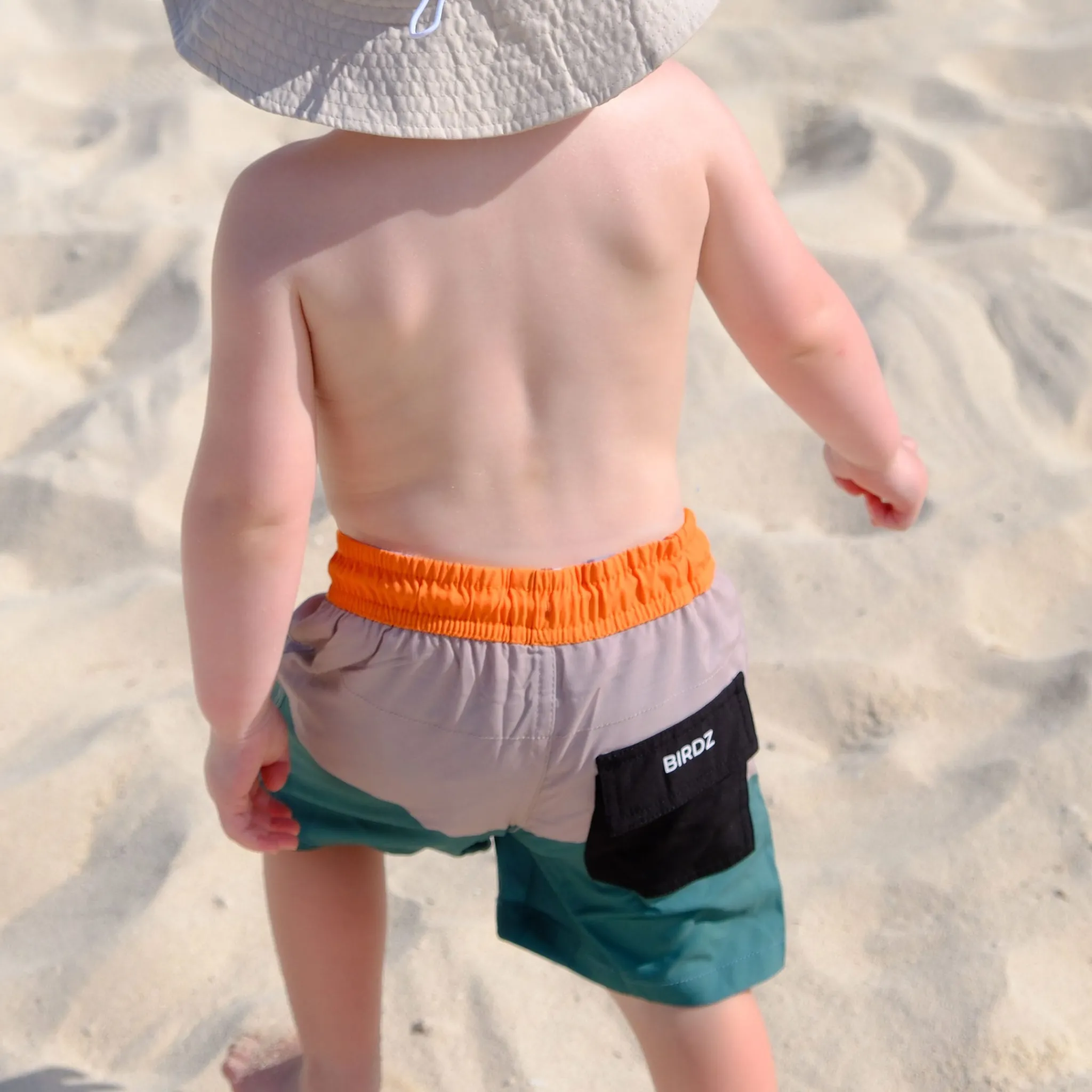 Kids/BOY Birdz Colorblock Uv Swim Shorts 2-10